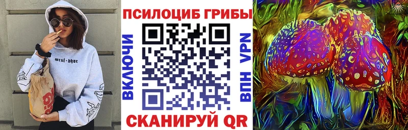 закладка blacksprut сайт Галлюциногенные грибы Psilocybe Камешково